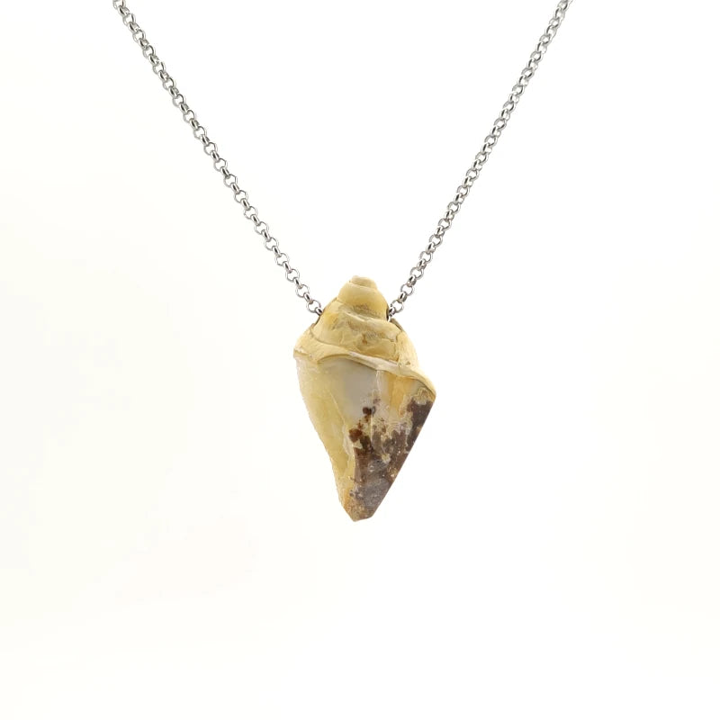 Necklace with a Drusy Fossil Shell pendant combining natural fossil shell with sparkling crystal surfaces, on a white background (back view)