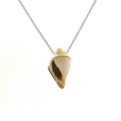Necklace with a Drusy Fossil Shell pendant combining natural fossil shell with sparkling crystal surfaces, on a white background (front view)