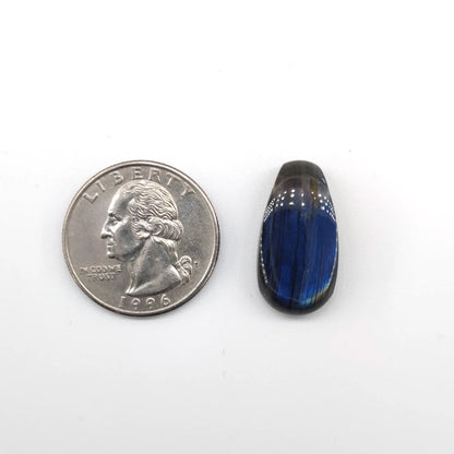Labradorite stone next to a U.S. quarter on a white background