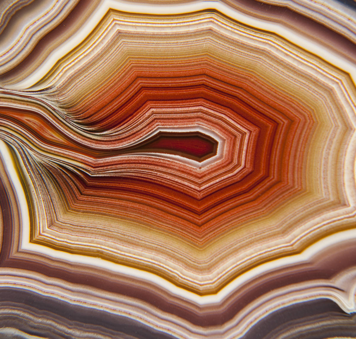 multi-band colors from red to brown pattern